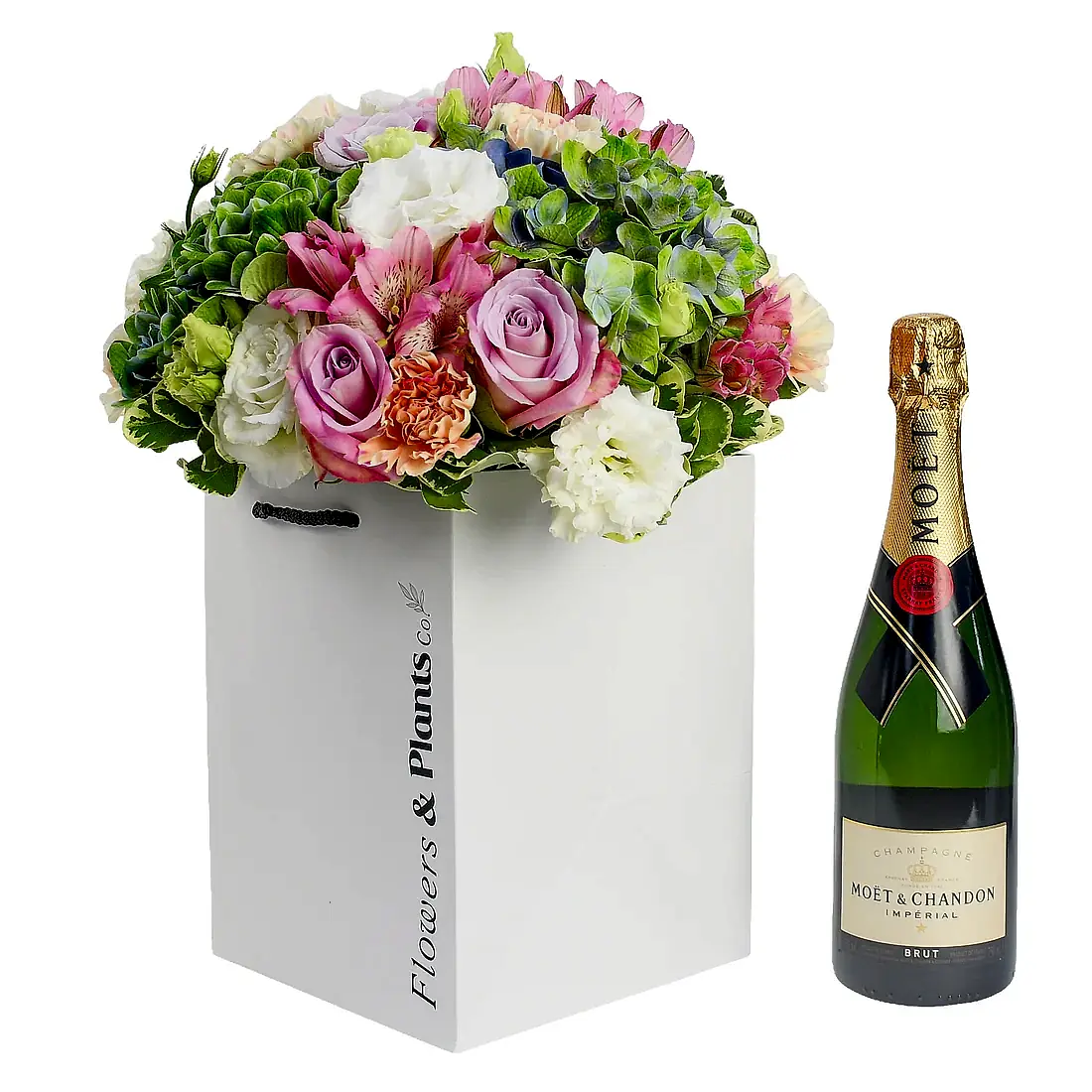 Into the Sun Flowers &amp; Champagne Flowers &amp; Plants Co