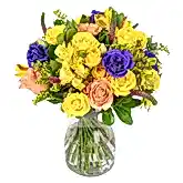 Mellow Yellow Flowers & Champagne Flowers & Plants Co