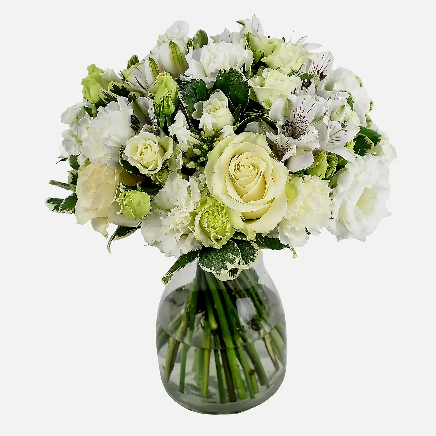 Sea Breeze Flowers &amp; Champagne Flowers &amp; Plants Co
