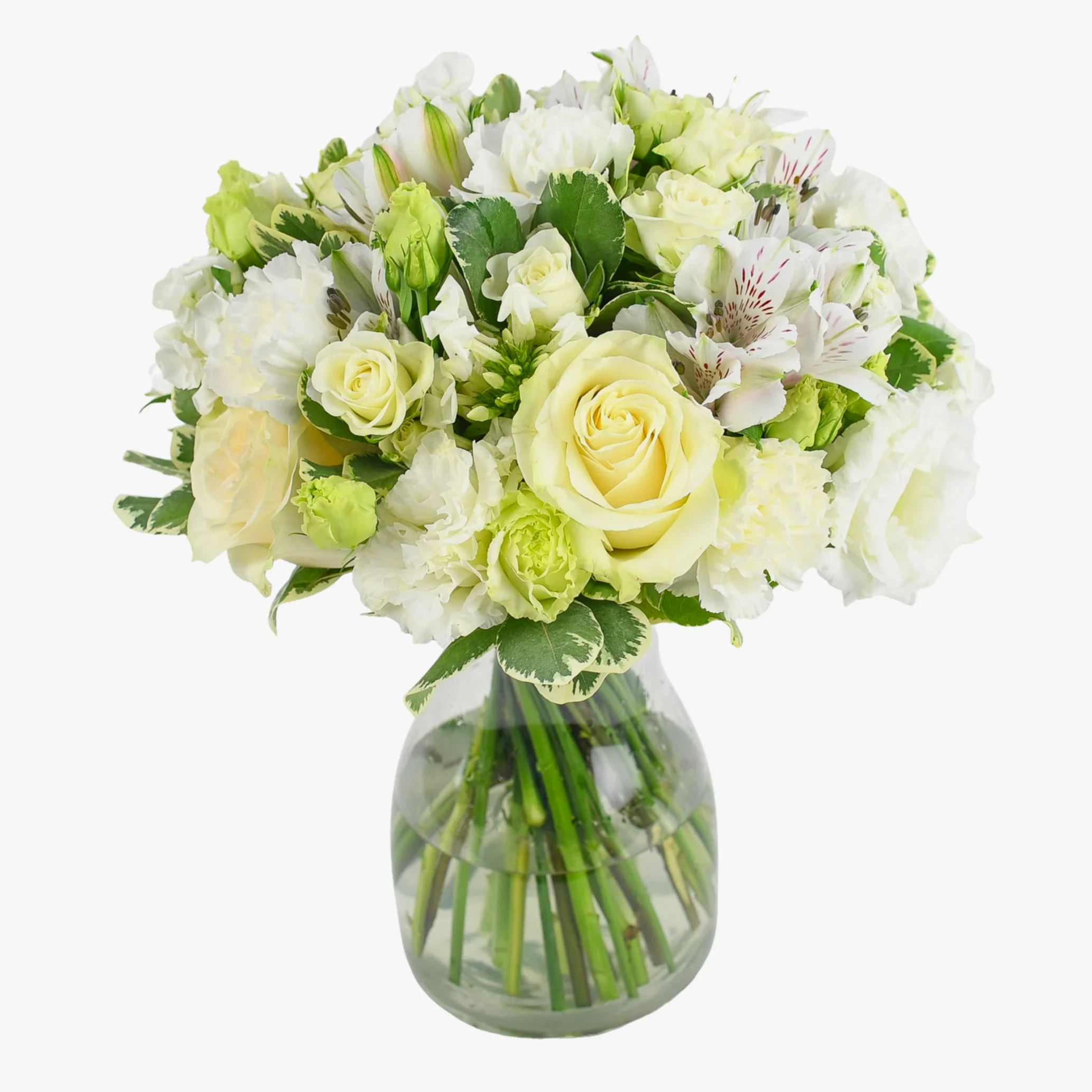 Sea Breeze Flowers & Champagne Flowers & Plants Co