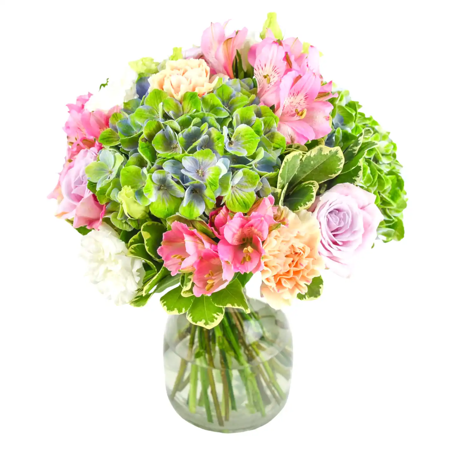 Into the Sun Flowers &amp; Champagne Flowers &amp; Plants Co