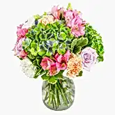 Into the Sun Flowers & Champagne Flowers & Plants Co