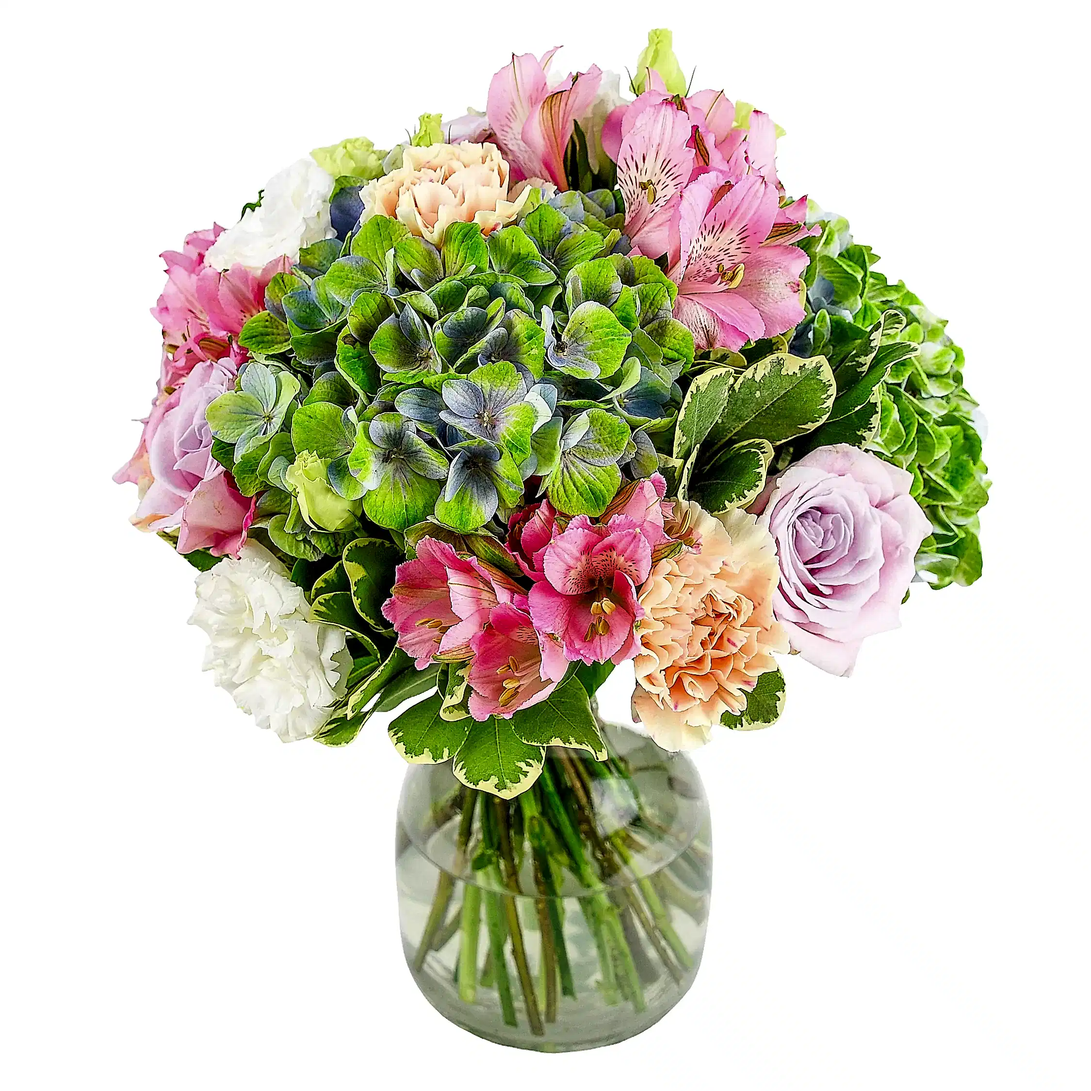 Into the Sun Flowers & Champagne Flowers & Plants Co
