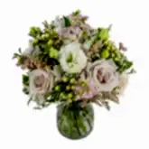 Wild & Wonderful Flowers & Champagne Flowers & Plants Co