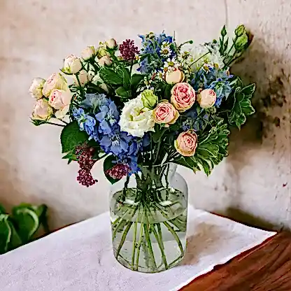 Subscription Box  Flowers &amp; Plants Co