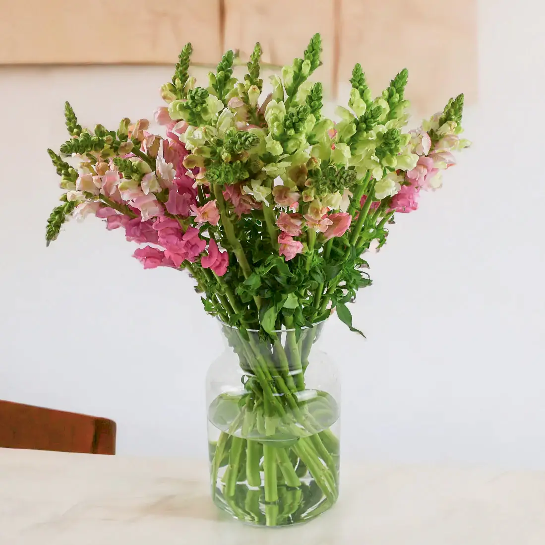 Subscription Box Flowers & Plants Co