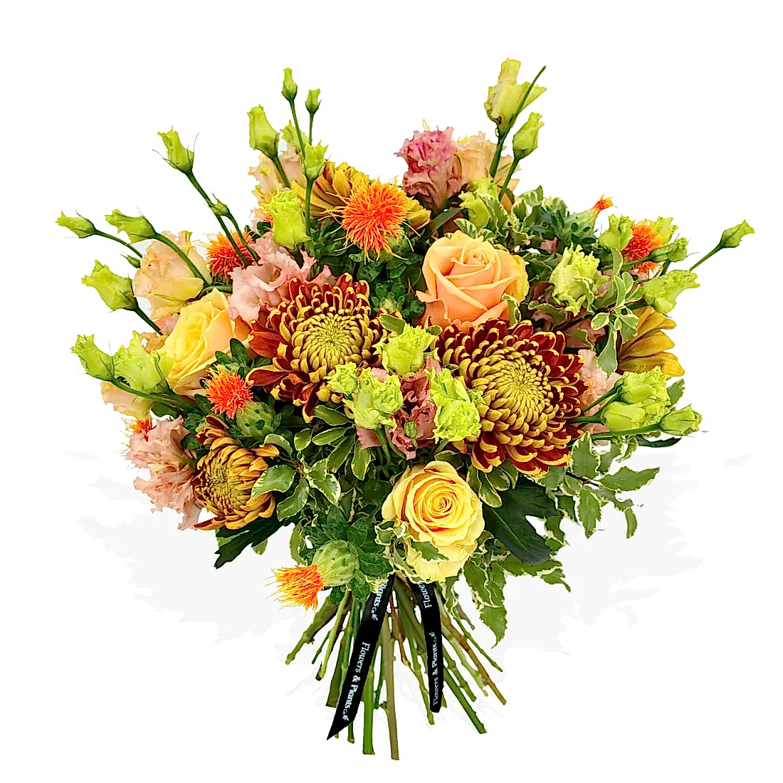 Roses &amp; Lisi  Flowers &amp; Plants Co