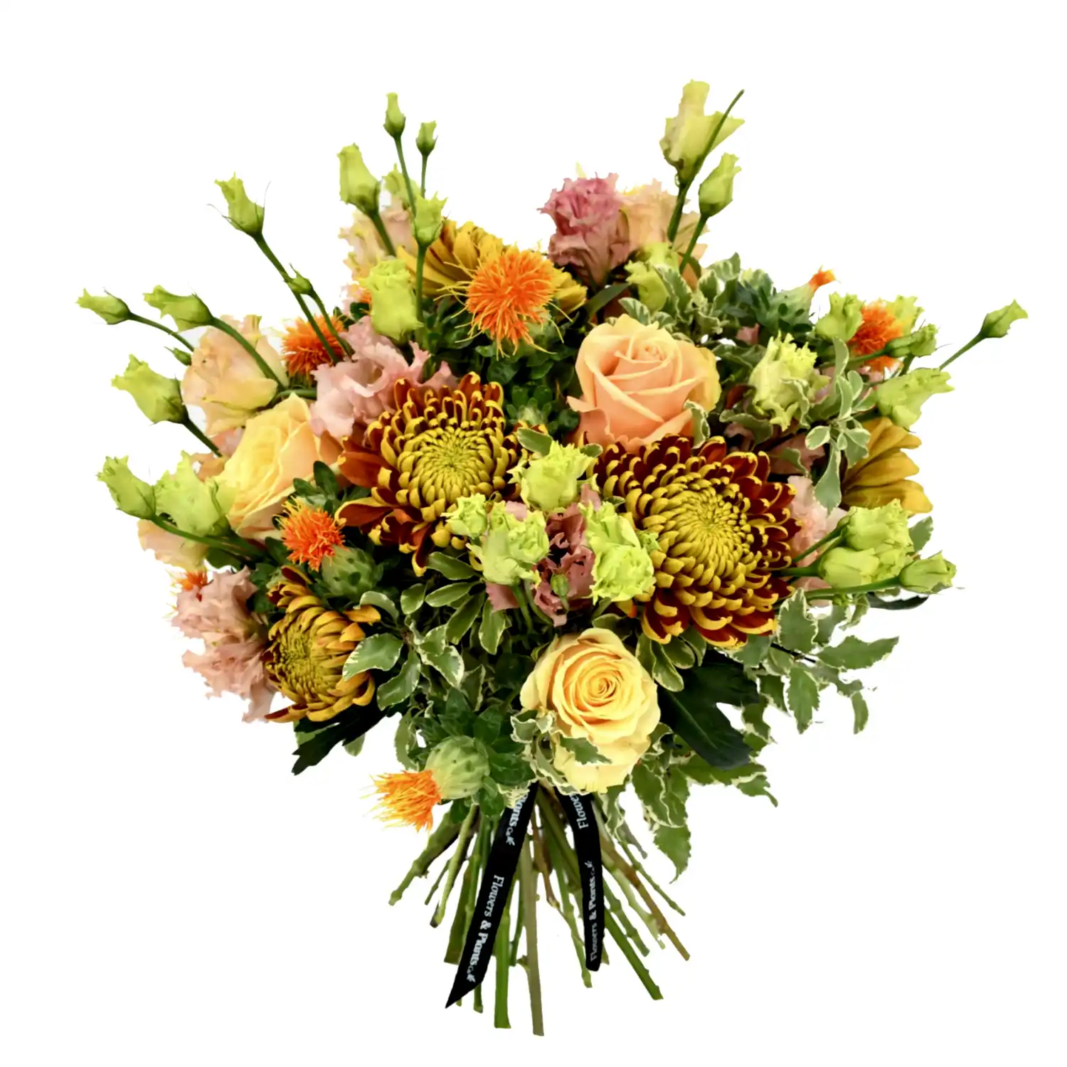 Roses &amp; Lisi  Flowers &amp; Plants Co