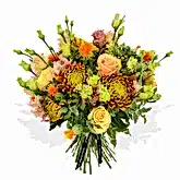 Roses & Lisi  Flowers & Plants Co