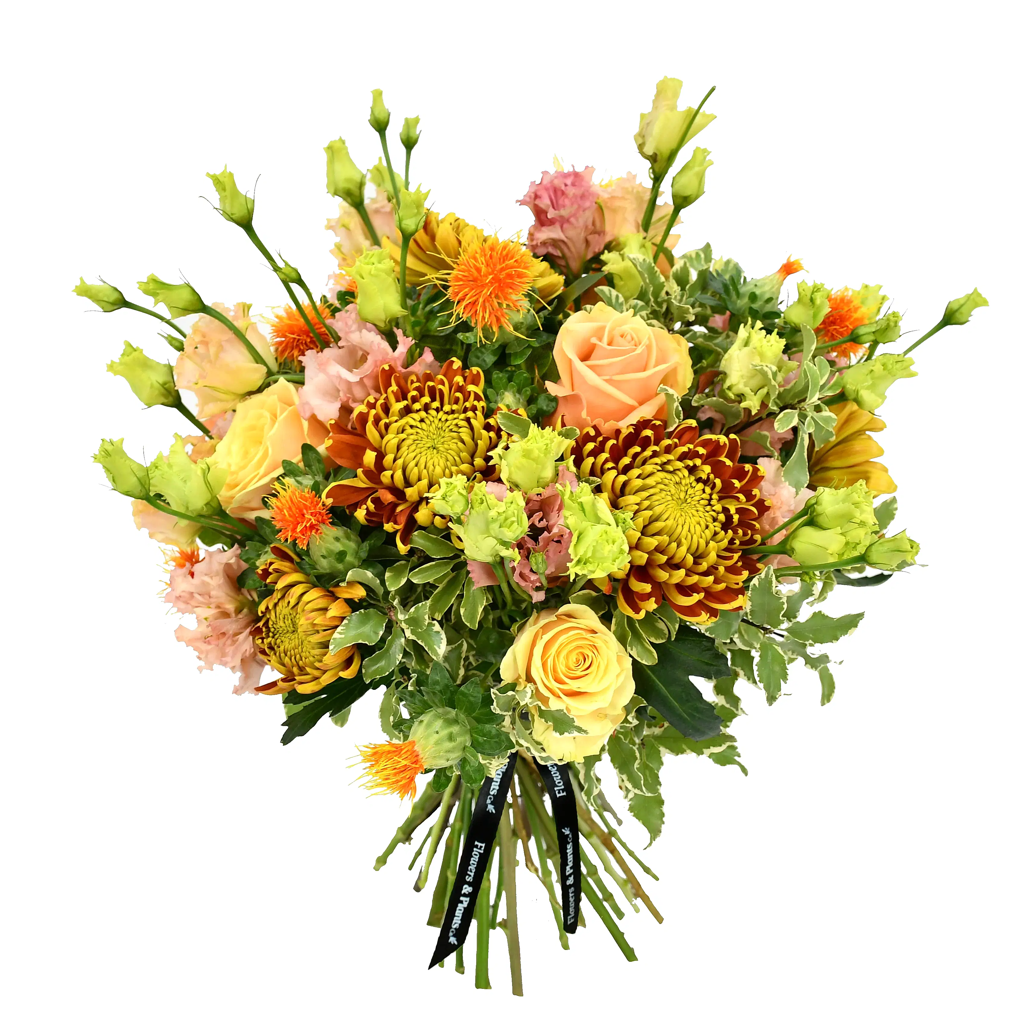 Roses & Lisi Flowers & Plants Co