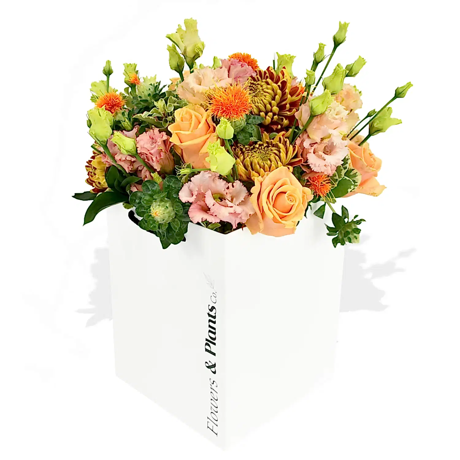 Roses &amp; Lisi  Flowers &amp; Plants Co