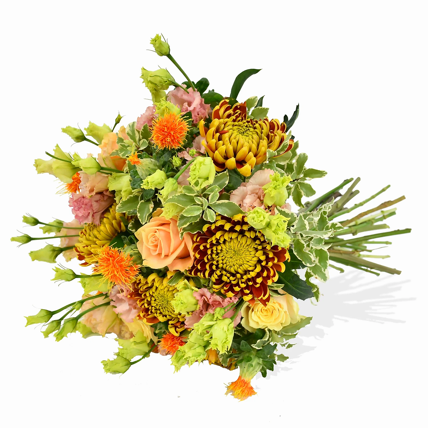 Roses &amp; Lisi  Flowers &amp; Plants Co