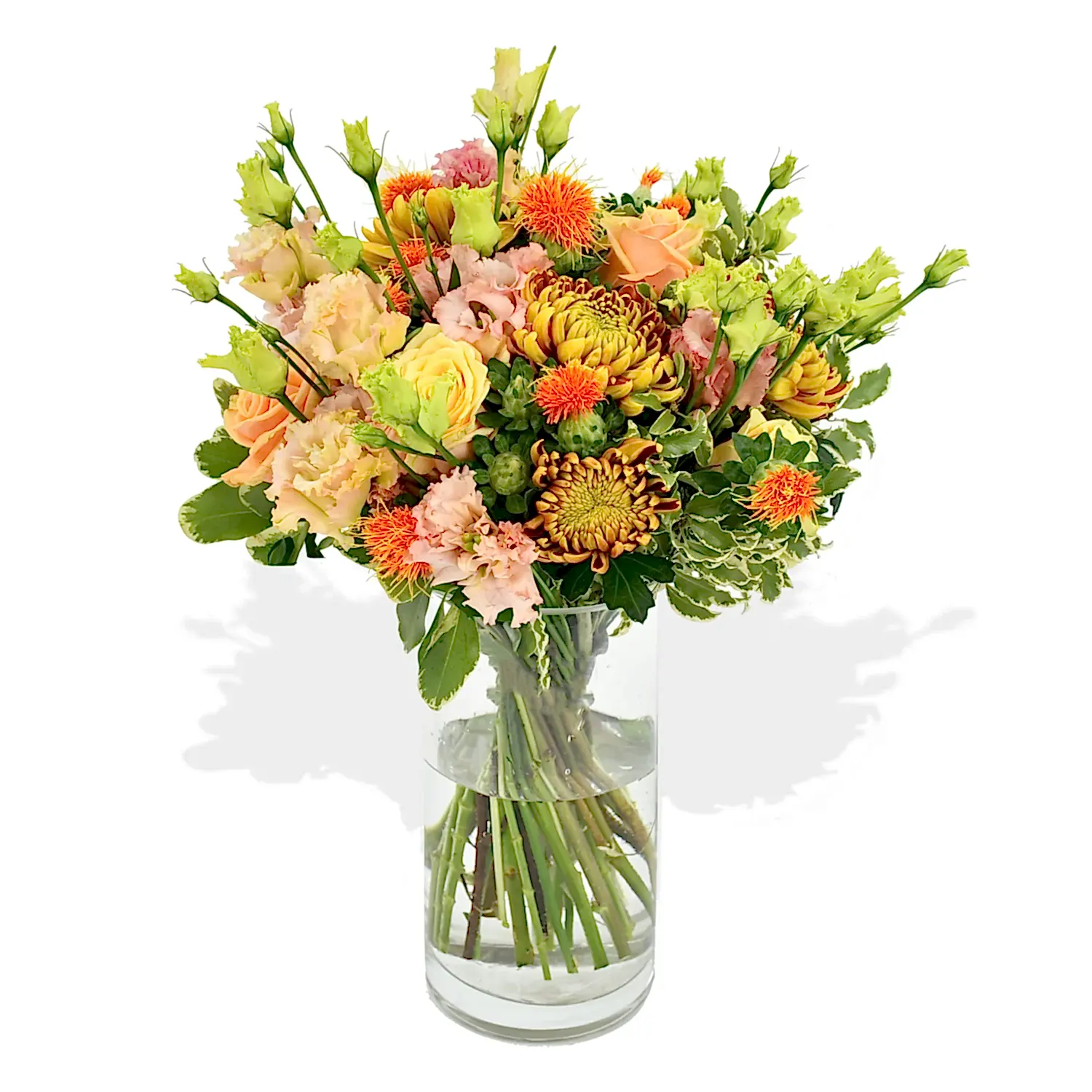 Roses &amp; Lisi  Flowers &amp; Plants Co