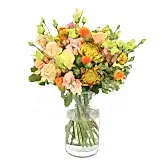 Roses & Lisi  Flowers & Plants Co