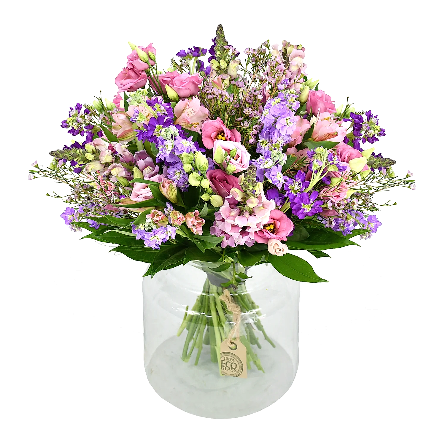 Scented Stocks  Flowers &amp; Plants Co