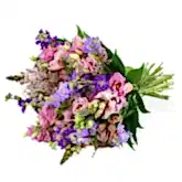 Scented Stocks  Flowers & Plants Co