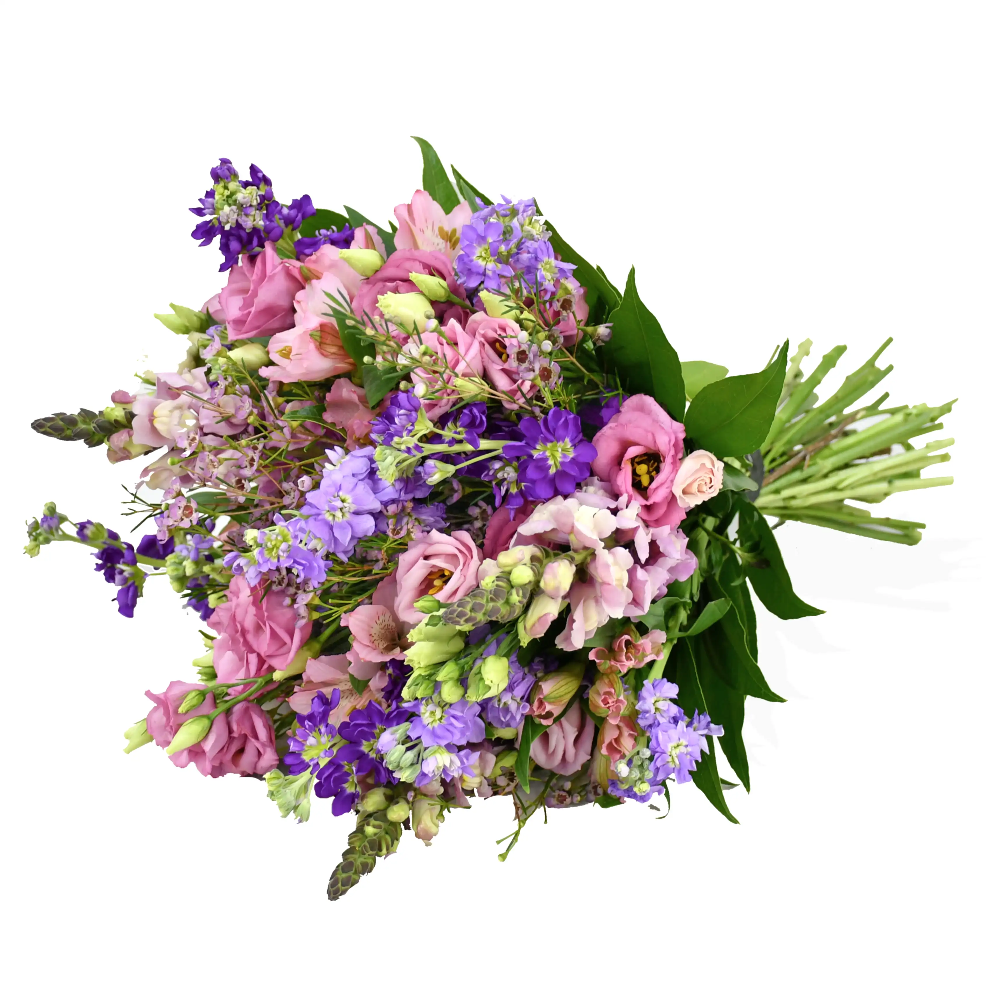 Scented Stocks Flowers & Plants Co