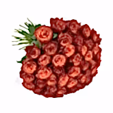 Red Red Rose Roses Flowers & Plants Co