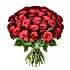 Red Red Rose Roses Flowers & Plants Co