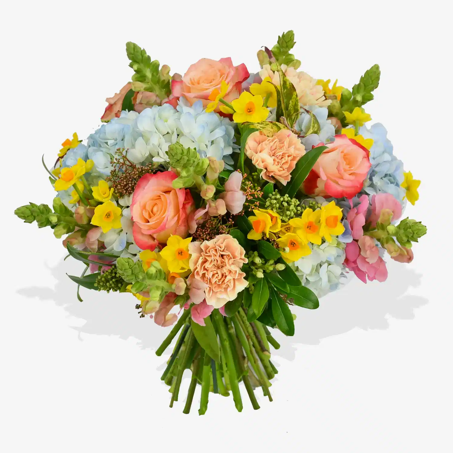 Joie De Vivre  Flowers &amp; Plants Co