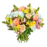 Joie De Vivre  Flowers & Plants Co