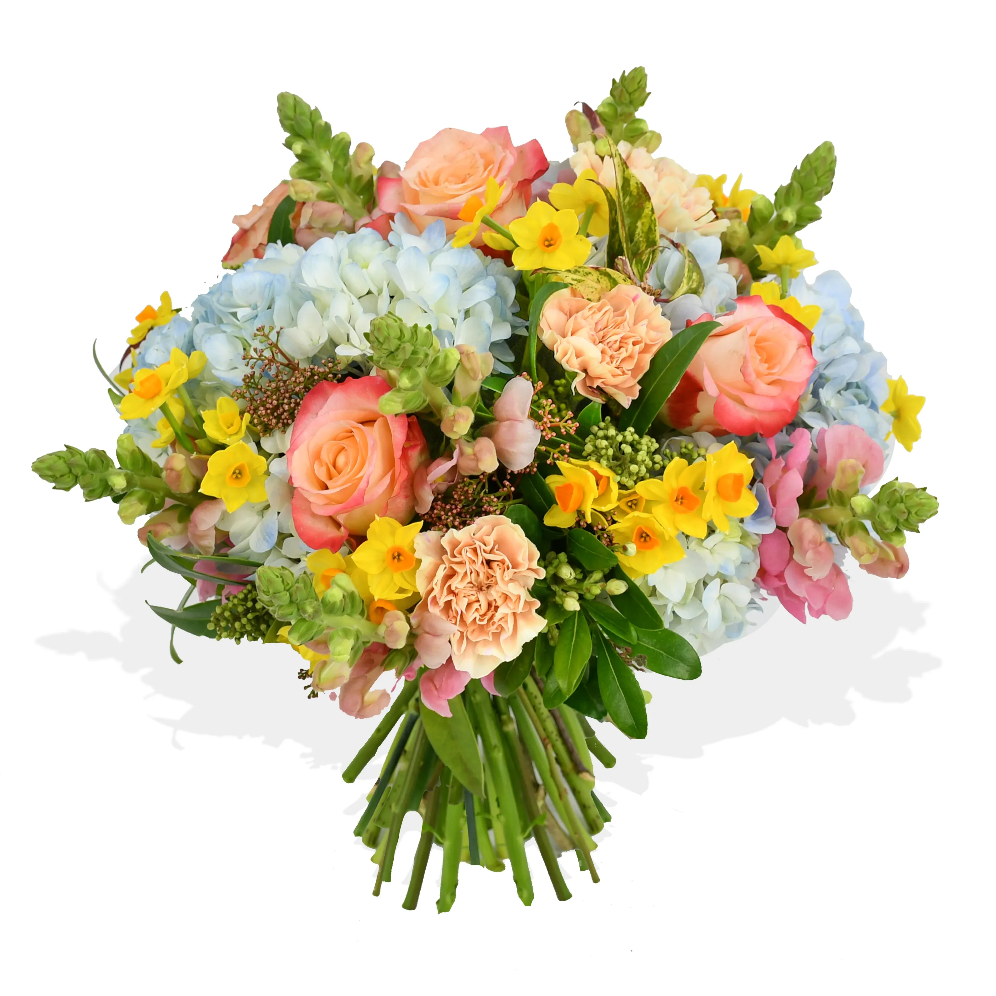 Joie De Vivre Flowers & Plants Co