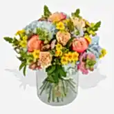 Joie De Vivre  Flowers & Plants Co
