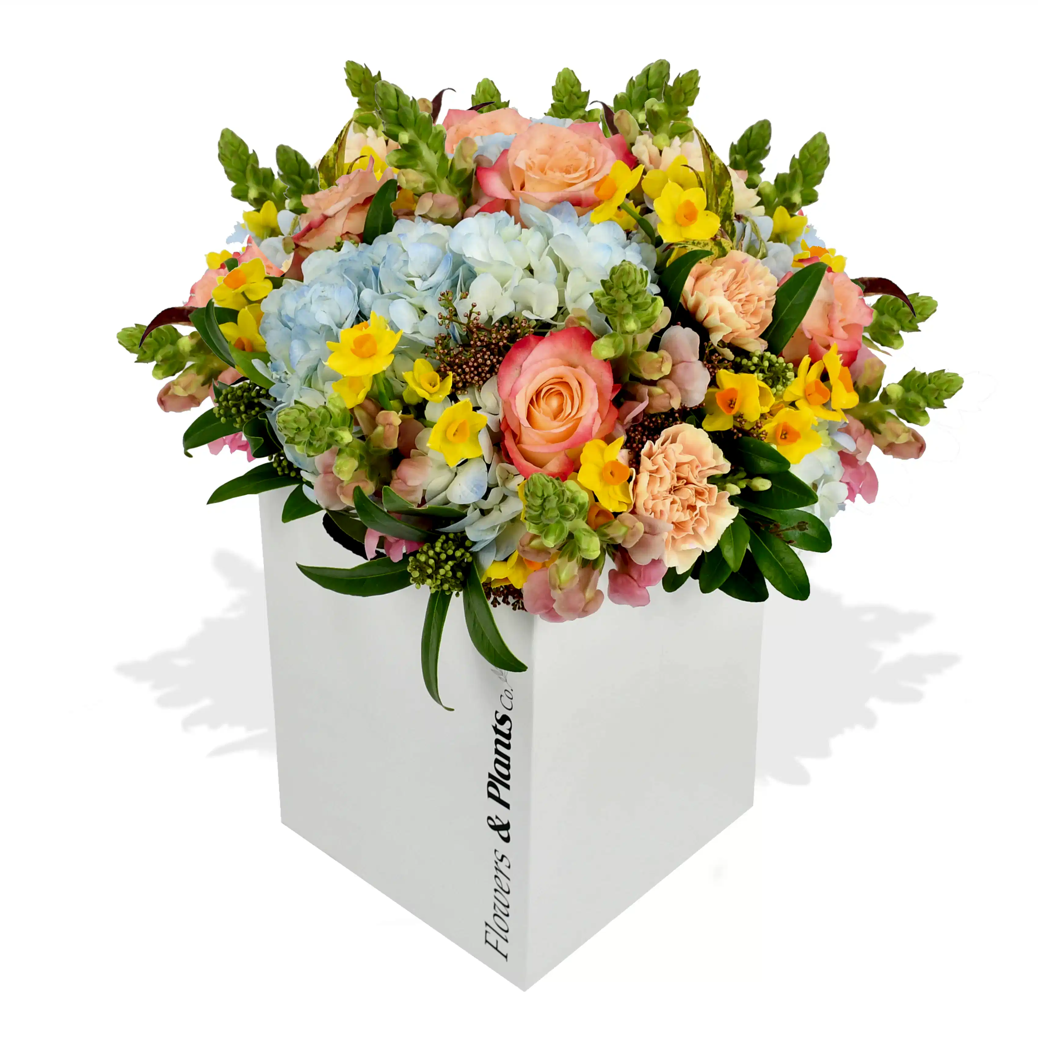 Joie De Vivre Flowers & Plants Co
