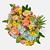 Joie De Vivre  Flowers & Plants Co