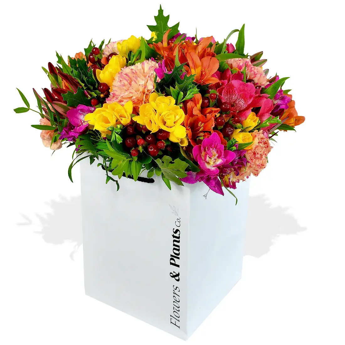Rainbow Road Freesia Flowers &amp; Plants Co