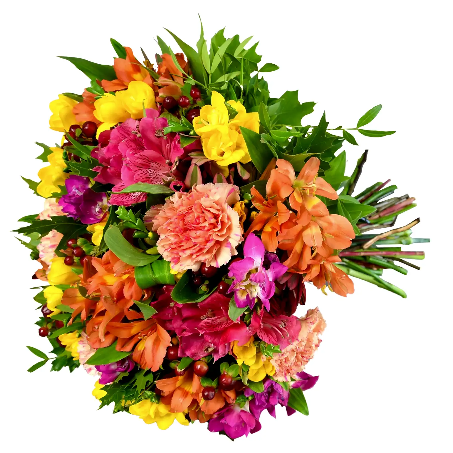 Rainbow Road Freesia Flowers &amp; Plants Co