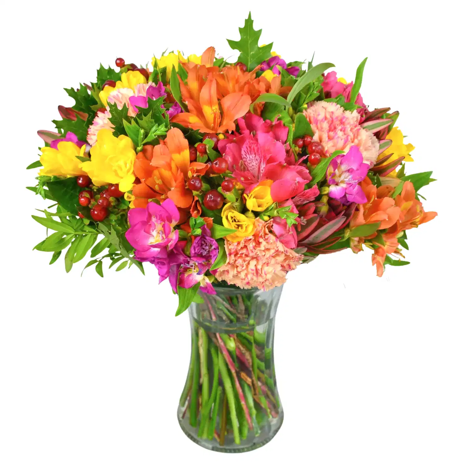 Rainbow Road Freesia Flowers &amp; Plants Co