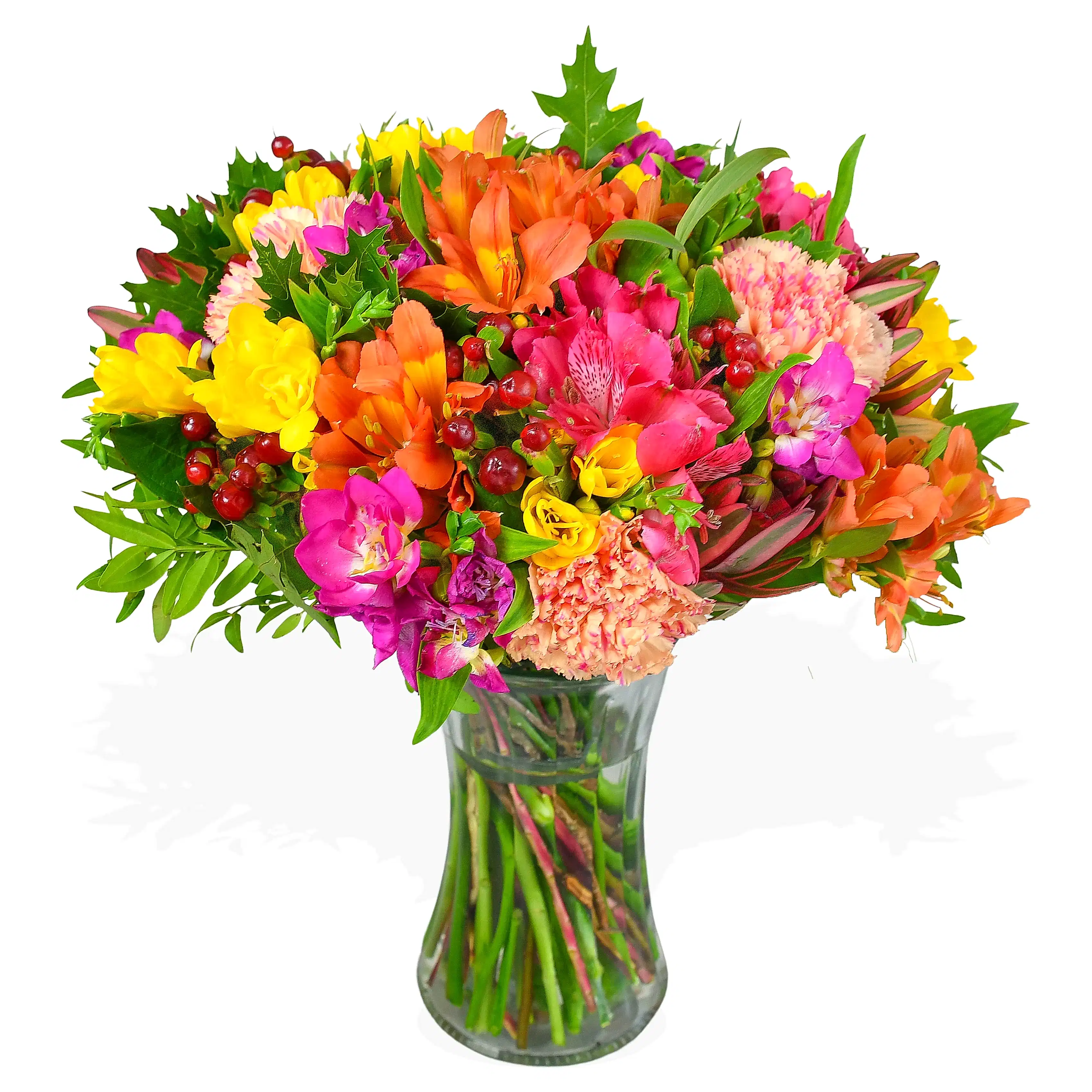Rainbow Road Freesia Flowers & Plants Co