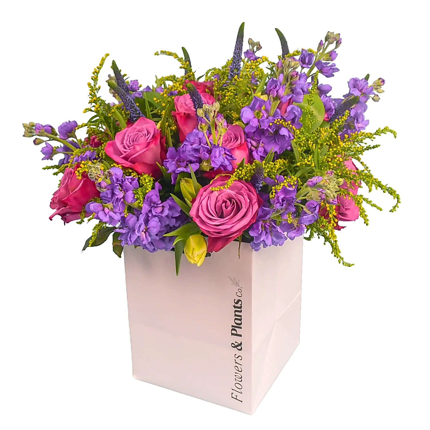 Stocks &amp; Rose Roses Flowers &amp; Plants Co