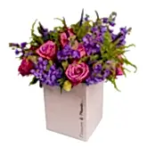Stocks & Rose Roses Flowers & Plants Co