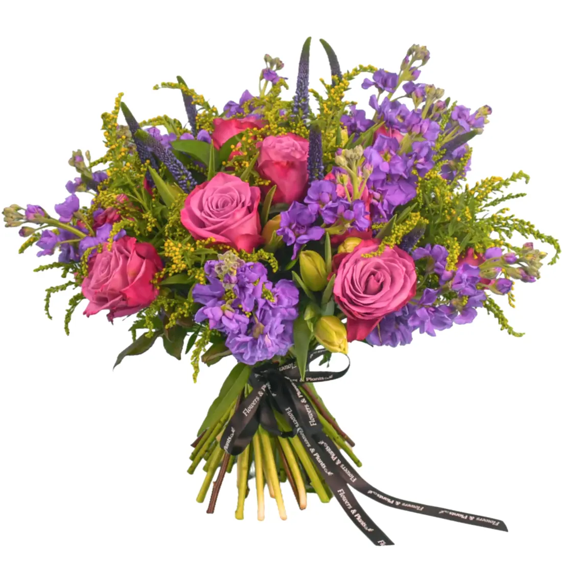 Stocks &amp; Rose Roses Flowers &amp; Plants Co