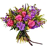 Stocks & Rose Roses Flowers & Plants Co