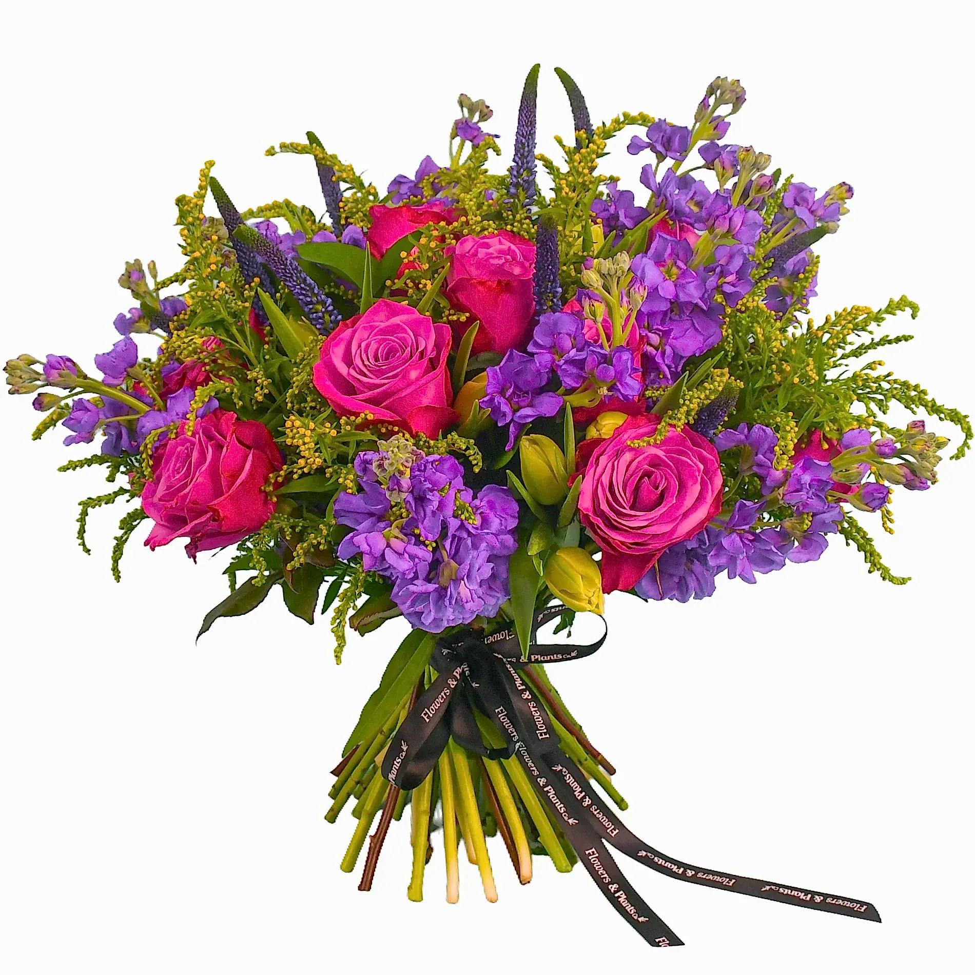 Stocks & Rose Roses Flowers & Plants Co