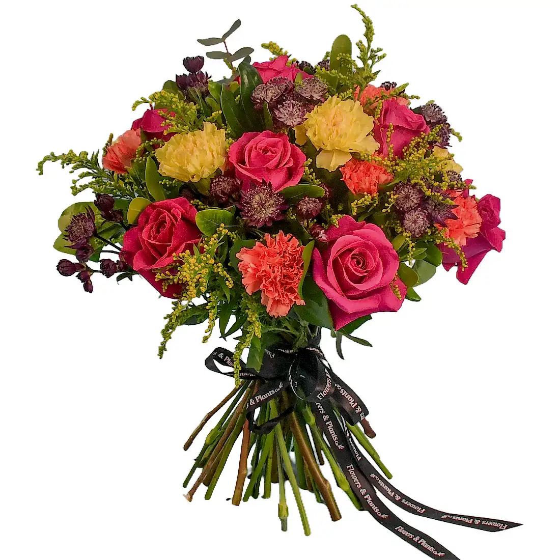 New Product  Flowers &amp; Plants Co