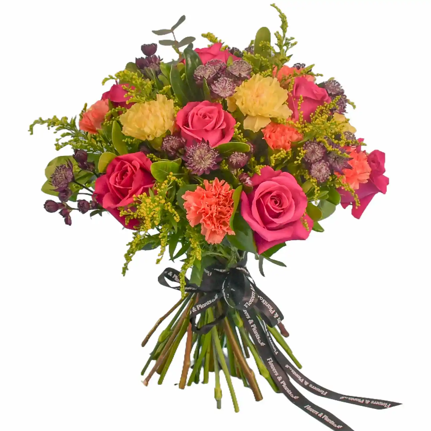 New Product  Flowers &amp; Plants Co