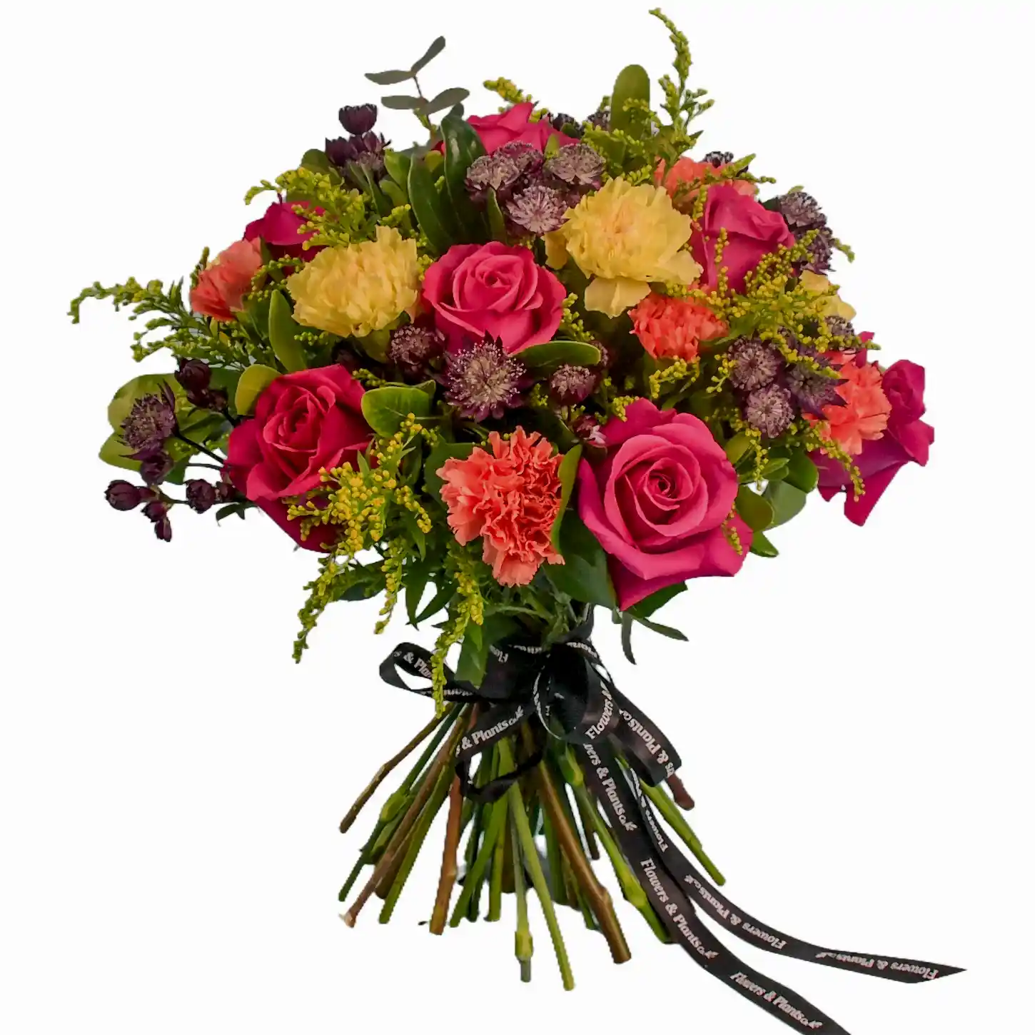 New Product  Flowers &amp; Plants Co