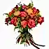 New Product  Flowers & Plants Co