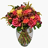 New Product  Flowers & Plants Co