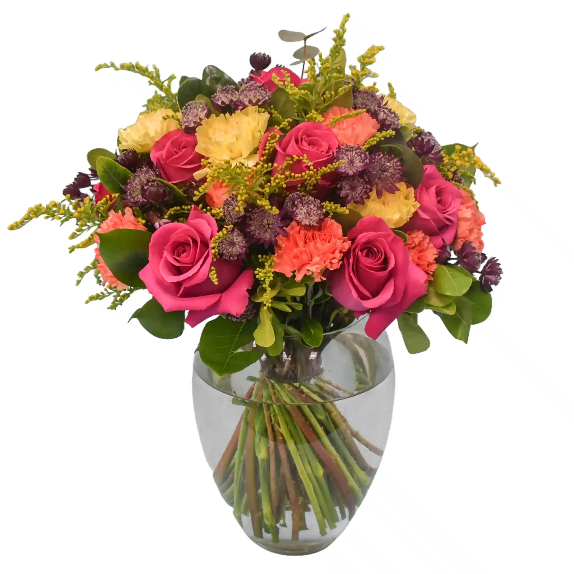 New Product  Flowers &amp; Plants Co